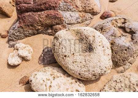 Dead coral flower shape at Kalim bay Phuket Thailand. It can be used for art work