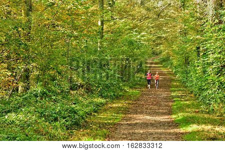 Verneuil sur Seine; France - october 30 2016 : jogger in the forest in the west of the city