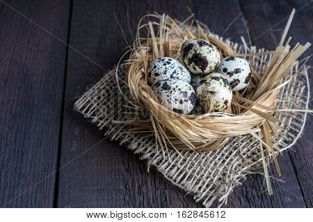 Quail eggs in nest. Heap of quail eggs in hay on dark wooden background