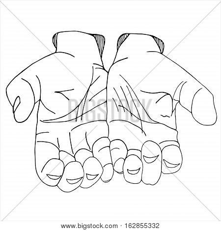 Hands Doodle graphic with ornate pattern. Design Isolated on white.