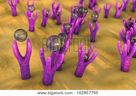 Cellular membrane with receptors and molecules coming to receptors, 3D illustraction