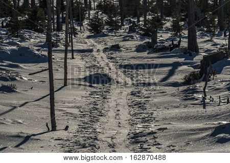Sunny Day In Jeseniky Mountains Near Kralicky Sneznik Hill With Snow