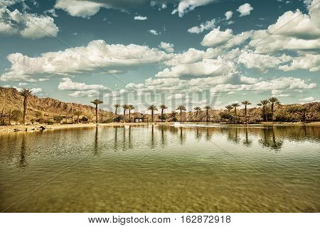 The Timna Oasis Lake in Timna park Israel (HDR image with black gold filter)