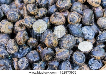 The water nut close up and texture background