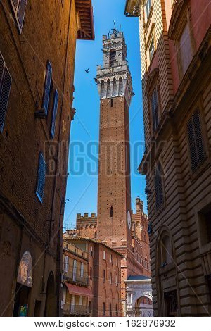 Torre Del Mangia In Siena, Italy