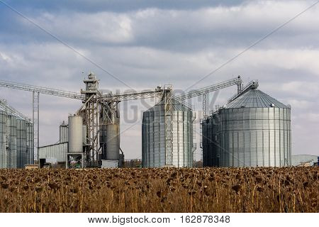 Towers of grain drying enterprise. Agricultural enterprise.