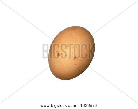 Egg2