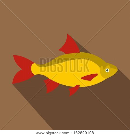 Flat illustration of scardinius erythrophthalmus vector icon for web isolated on coffee background