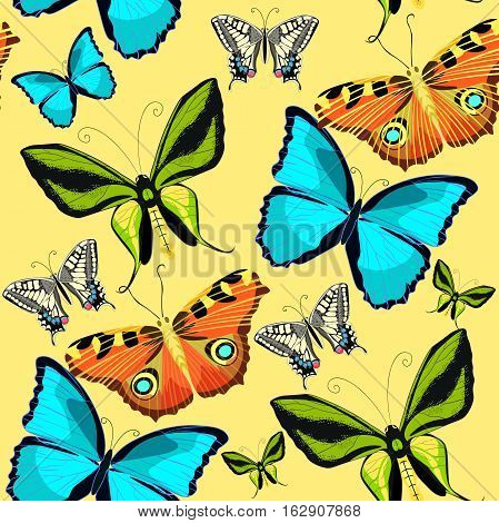 Seamless Pattern Ornithoptera Paradisea, Butterfly Wings Of A Bird Of Paradise Vector Illustration