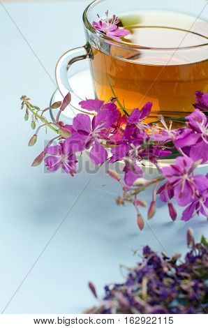 Tea Made From Fireweed. Herbal Tea. Medicinal Plants.