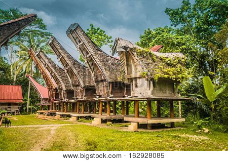 Row Of Ancestral Houses