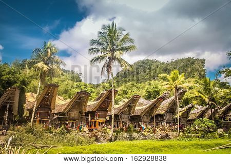 Row Of Tongkonans