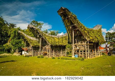 Wooden Ancestral Houses