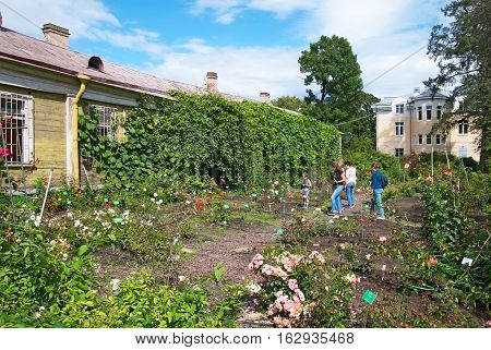 SAINT-PETERSBURG, RUSSIA, AUGUST 3, 2016: People look at the different sorts of roses in the rosarium in Peter the Great Botanical Garden (Botanic Gardens of the Komarov Botanical Institute)