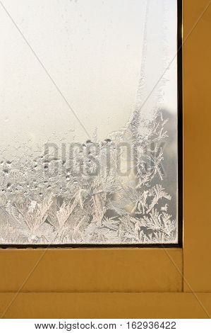 Frozen Window Glass