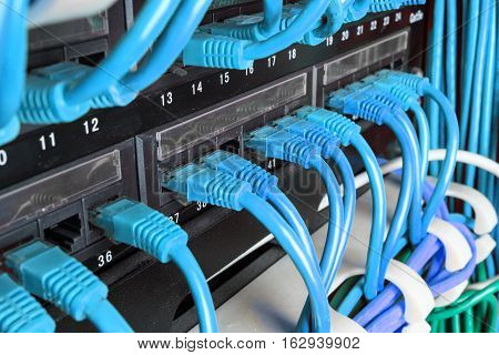 Server rack with green internet patch cord cables connected to patch panel in server room
