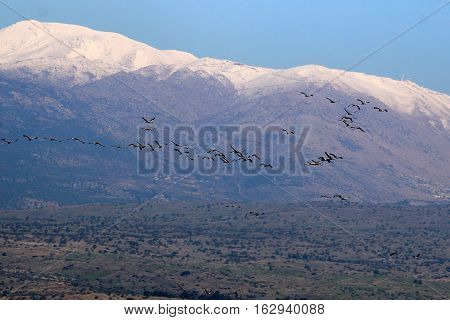 Hermon height reaches 2800 meters, the mountain is located in the north of Israel, where the lowest temperature in the country, the snow cover lasts almost all year round,