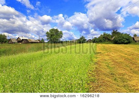 Paesaggio solare rurale di estate in Berezinsky riserva in Bielorussia