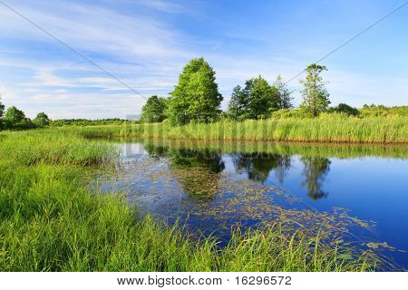 Bellissimo panorama del fiume di Berezina Berezinsky riserva