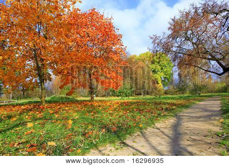 Autunno nel parco di Vitebsk