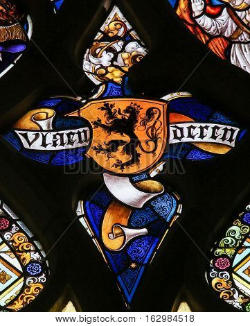 Stained Glass - Flemish Lion