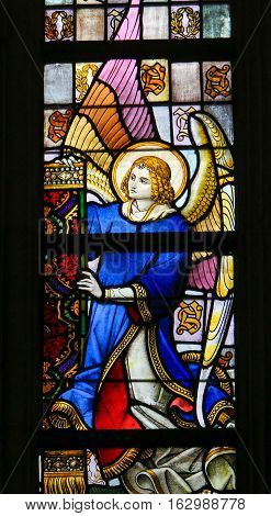 Stained Glass - Angel