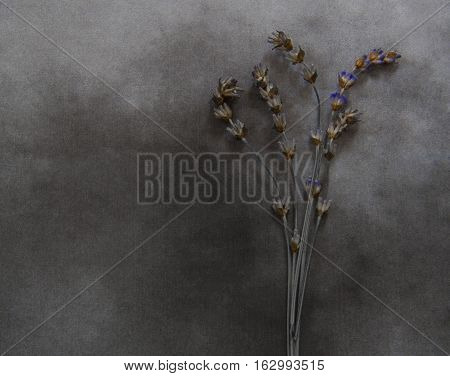 Dry lavender on marble - condolence card with deepest sympathy