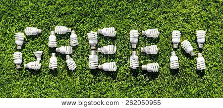 Energy Efficient Light Bulbs On Grass. Green Source Of Energy Concept