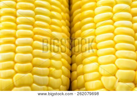 Image Of Yellow Corn Background, Healthy Organic Food, Bio Nutrition, Fresh Ripe Vegetable, Maize Co