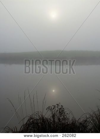 Silver Dawn