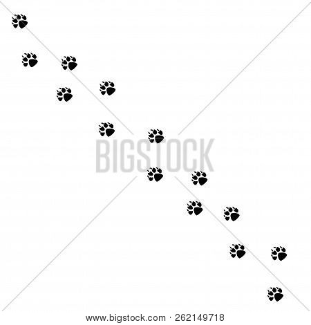Animal Black Foots And Wildlife Animal Mammal Steps, Pet Traces. Animal Foots Silhouette Steps Anima