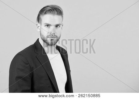 Guy Bearded Attractive Well Groomed Businessman. Man With Beard Unshaven Guy Looks Handsome Well Gro
