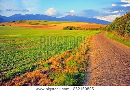 Beautiful Country Road In Tatras Mountains