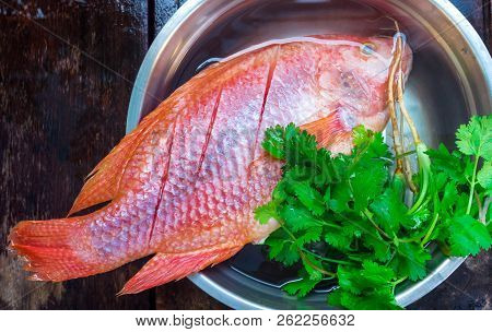 Fresh Fish Are Frozen Prepare To Cooking