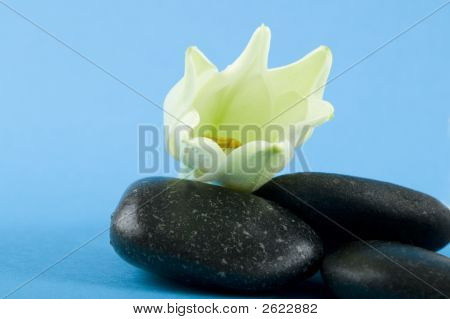 Zen Steine