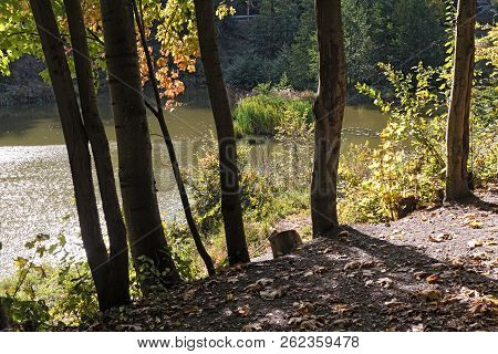 The Baerenfichtenweiher Between Niederreifenberg And Schmitten In The Taunus, Germany.