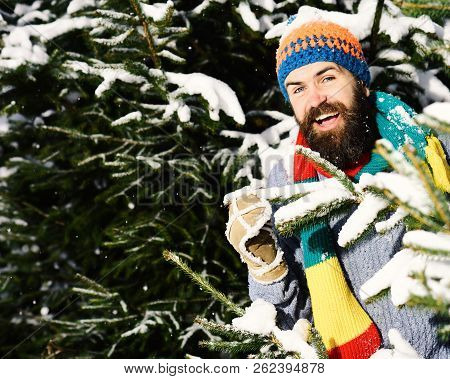 Man With Hat, Scarf And Glove. Guy With Happy Face