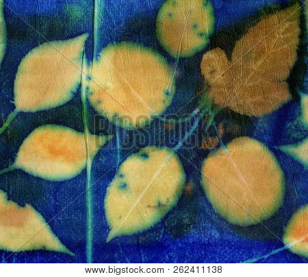 Botanical Print With Leaf Prints On Natural Silk. Hand-drawn Illustration.4