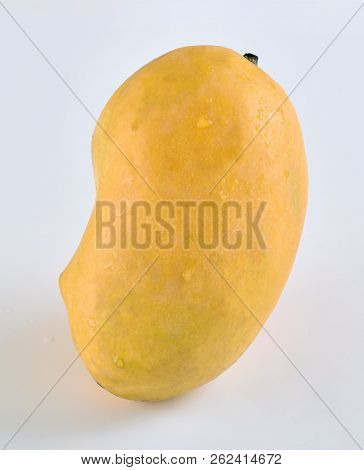 Mango, King Of All The Fruits, Fresh And Healthy Full Of Nutritions.