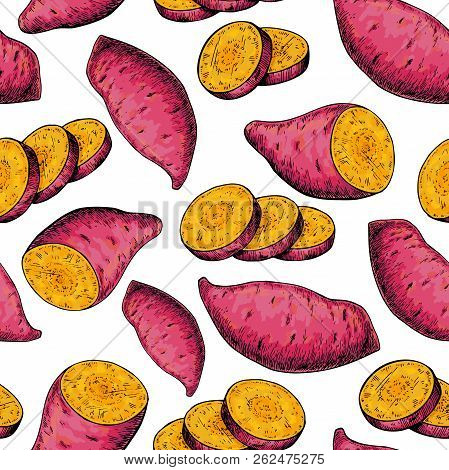 Sweet Potato Seamless Pattern. Vector Drawing. Isolated Vegetabl