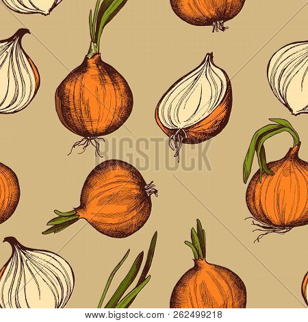 Vector Seamless Pattern Of Onions. Hand Drawn Vector Illustration