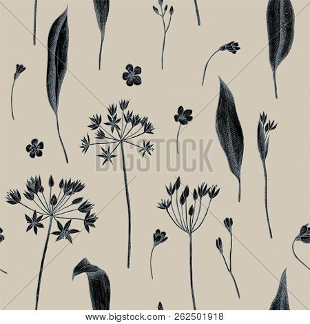 Vector Seamless Pattern Of Wild Garlic. Hand Drawn Vector Illustration