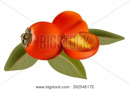 Persimmon Whole And A Piece With Leaves On White Background. Vector Illustration
