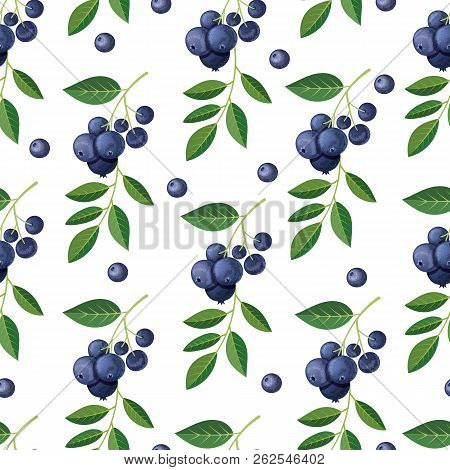 Seamless Pattern With Blueberries And Sprigs. Vector