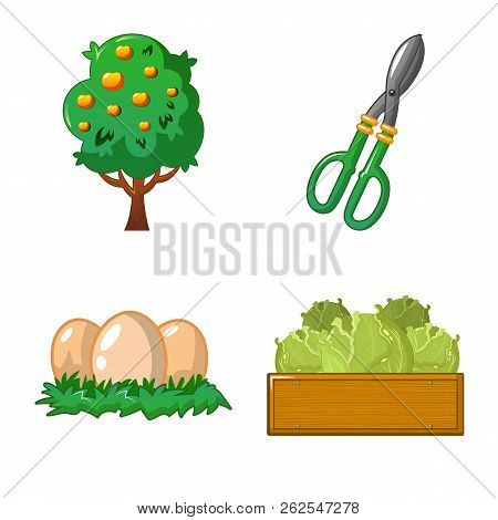 Vector Illustration Of Farm And Agriculture Icon. Set Of Farm And Plant Vector Icon For Stock.