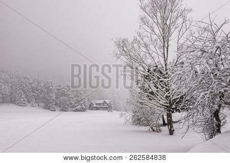 Bolu,turkey-january 28,2017.winter Landscape From Gölcük In Bolu