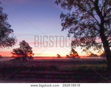 Sunrise Sunset In Golden Autumn In The Luneburg Heath