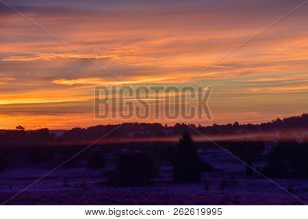 Sunrise Sunset In Golden Autumn In The Luneburg Heath