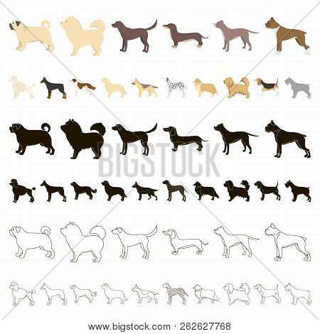 Dog Breeds Cartoon Icons In Set Collection For Design.dog Pet Vector Symbol Stock Web Illustration.