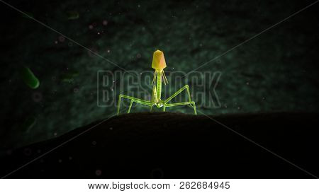 3d rendered medically accurate illustration of bacteriophage